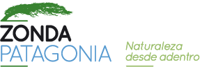 Zonda Patagonia